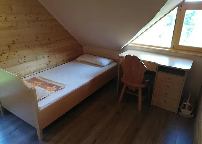 Brunarica Lorentia *